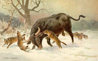 Illustration for article titled The Nazi breeding program that resurrected an extinct species